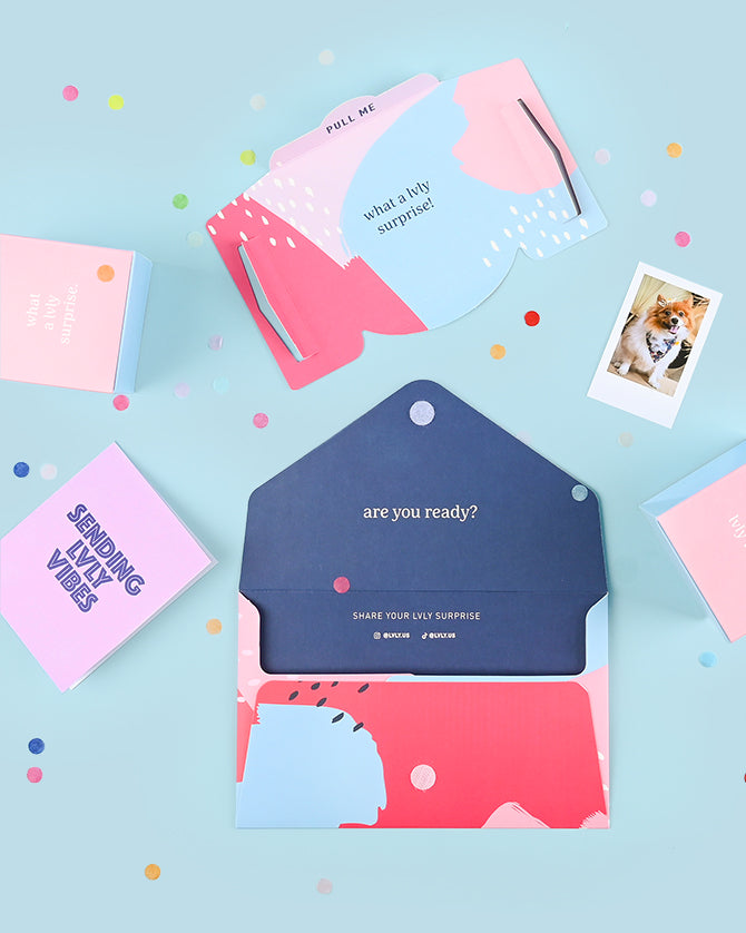 Polaroid Surprise Envelope - LVLY Inc.